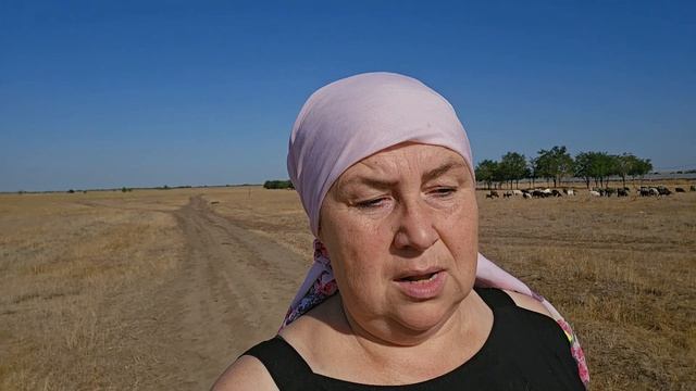 Что скрывает Казачка, её прошлое за красивой картинкой с козами