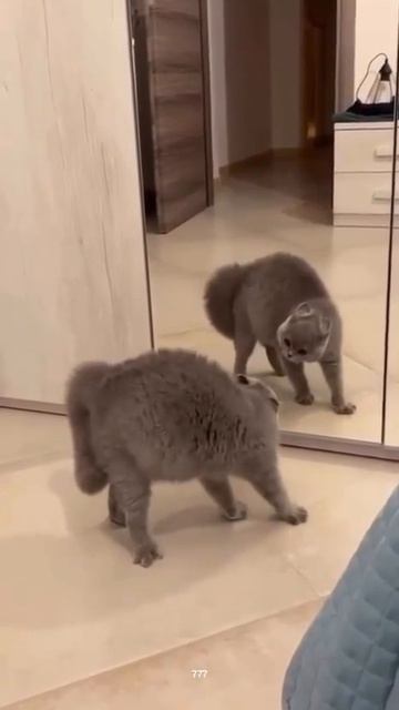 Чувствуется, скоро дело до драки дойдет.