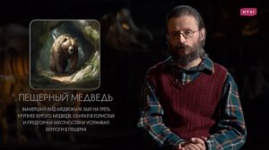 Почему наш мозг обречен создавать религии? Дробышевский. Человек разумный