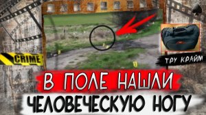 Тру крайм. Его находили по частям, пока не узнали жуткую правду