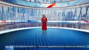 При ударе украинского дрона по селу в Брянской области погиб местный житель.