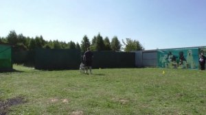 ПРК Царго из Невского Десанта