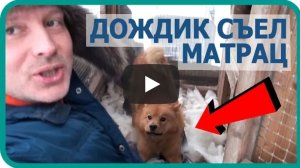 МАМА ПРИЕХАЛА В ГОСТИ / моя собака ДОЖДИК съел матрац за 2000 руб.