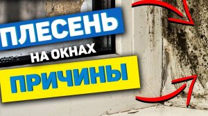 ВАЖНО Причина плесени на окнах Штукатурка оконных откосов I Пластиковые окна I Окна ПВХ