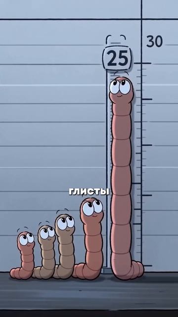 Пациент с глистами: история из практики доктора Вялова