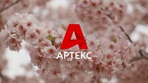 Коллекция обоев «Кармела»