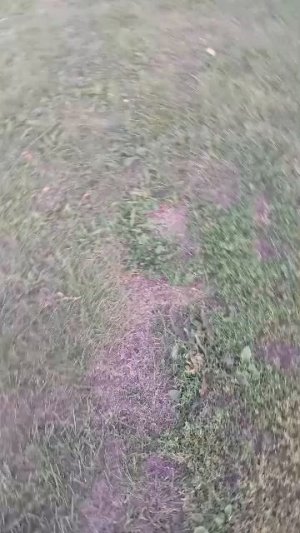 выполняю задание с егором и следим
