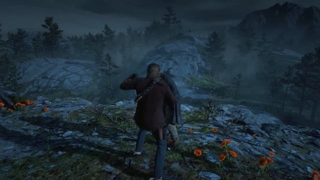 Rdr2