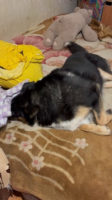 Мамина умничка