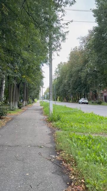 Летние прогулки по городу