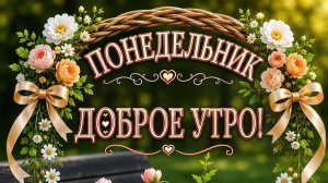УТРЕННЯЯ ПОЧТА! ВСЕХ КУР НА УЧЕТ! ВАСЕВСКИЙ СТРИМИТ УЖЕ ПО 12 ЧАСОВ