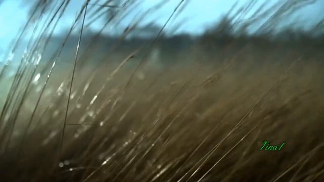 Enigma - Sadeness Remix Tinanavy1 _ Deep House Vibes(720P_HD)