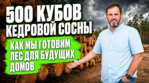 Как выглядит правильная заготовка кедровой сосны для строительства срубов по технологии POST & BEAM?