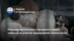 Глава мариупольского городского округа побывал на участке предприятия «Зеленстрой».17.08.2026