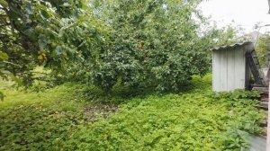 DJI_20260722115525_0107_D