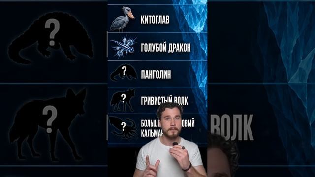 Самые удивительные животные