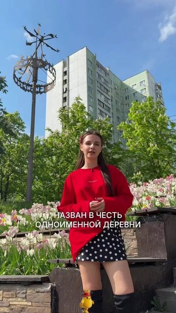 Почему районы Москвы так называются? 🏙️