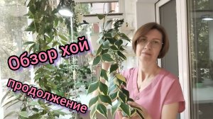 Обзор мойх хой, продолжение.👀🌿🌺