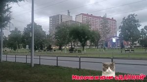 Sarkis Edwards**НЕ ТОРОПИ МИНУТЫ ЖИЗНИ**.ПРОСТО❤😘 ЧАСТО ЗДЕСЬ БЫВАЮ.