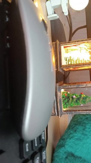стрим