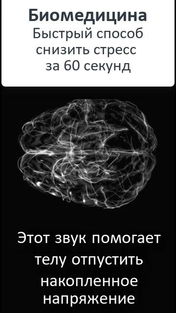 Как быстро снять стресс - этот биомедицинский звук за минуту успокаивает мозг и расслабляет тело