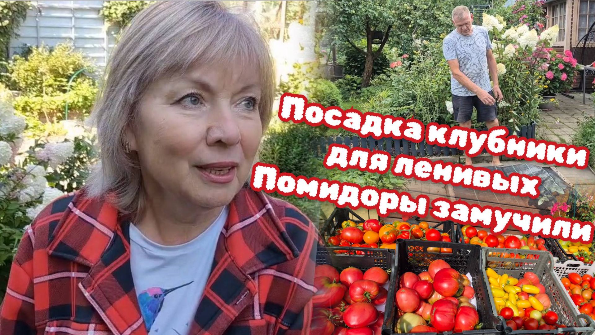 Маленький огородик, а урожай — как с поля! Готовимся к новому сезону Клубника по новому