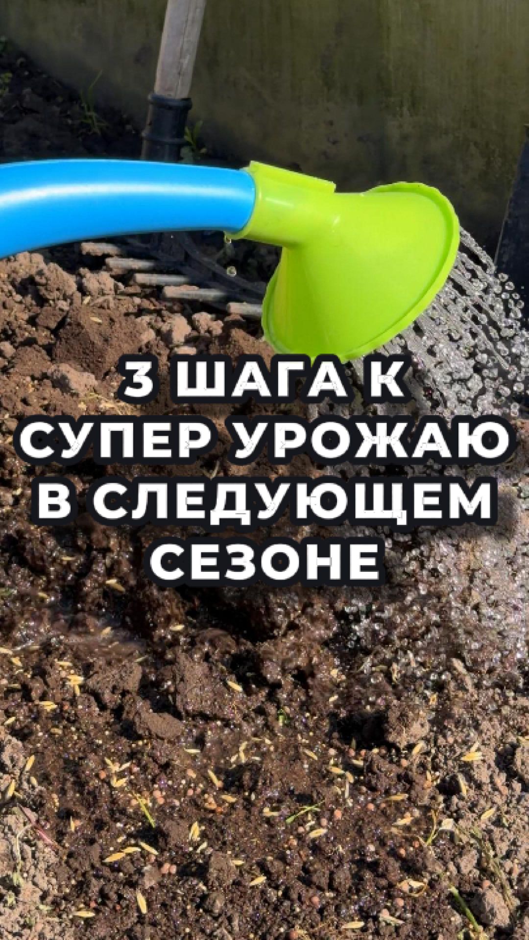 🌾 НЕ БРОСАЙТЕ ГРЯДКИ!