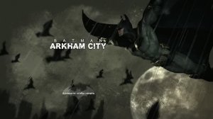 Прохождение игры Batman: Arkham City. ч 2