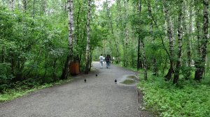 КРАСНОЯРСК ГОТОВИТСЯ К ДОЖДЛИВОЙ НЕДЕЛЕ