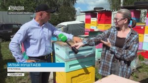 Чище, чем в операционной: брянский пчеловод раскрыл секреты жизни улья