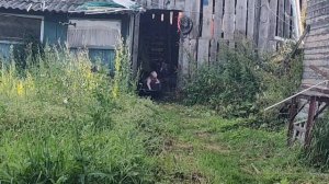 19-08-2026 я вас жду❤❤❤