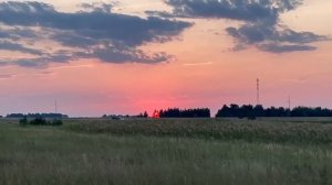 Зауральские просторы