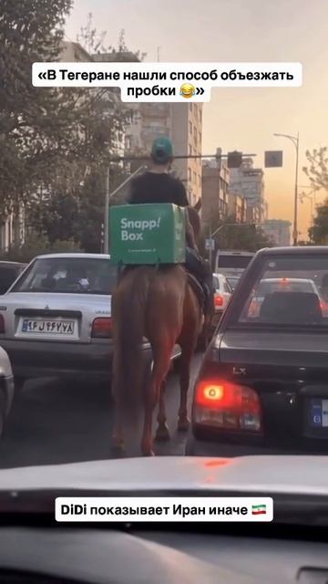 Когда доставка должна быть быстрее пробки 😂🐴 Тегеран умеет удивлять! 🇮🇷 #didiplustv