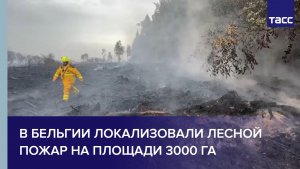 В Бельгии локализовали лесной пожар на площади 3000 га