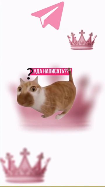 Все свои рилс я снимаю в короне