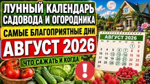Лунный календарь садовода и огородника АВГУСТ 2026 | Самые благоприятные дни посадки АГРОГОРОСКОП