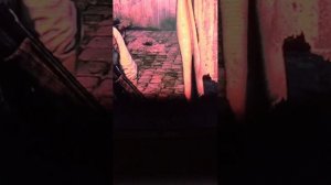 77