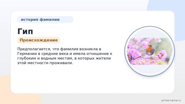 Фамилия Гип: происхождение, значение и склонение