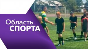 Область спорта №374