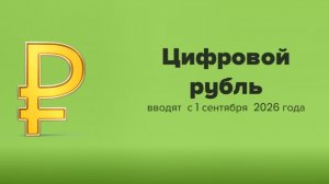 Цифровой рубль с 1 сентября: инструкция для бизнеса и граждан
