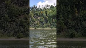 река Обь, остров Медвежий