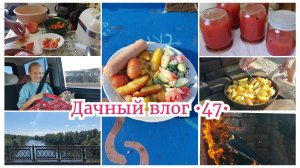 Быстрый томатный сок в зиму 🔥 Шикарный получился ужин / Поехали на дачу с ночевками