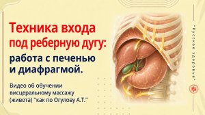 Массаж печени- как делать? Видео об обучении висцеральному массажу (живота) “как по Огулову А.Т.”