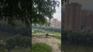в лесу 17.08.26