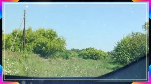 д. Петровка (Пожаровка) Половинский район Курганская область Тянет побывать в местах юности, детства