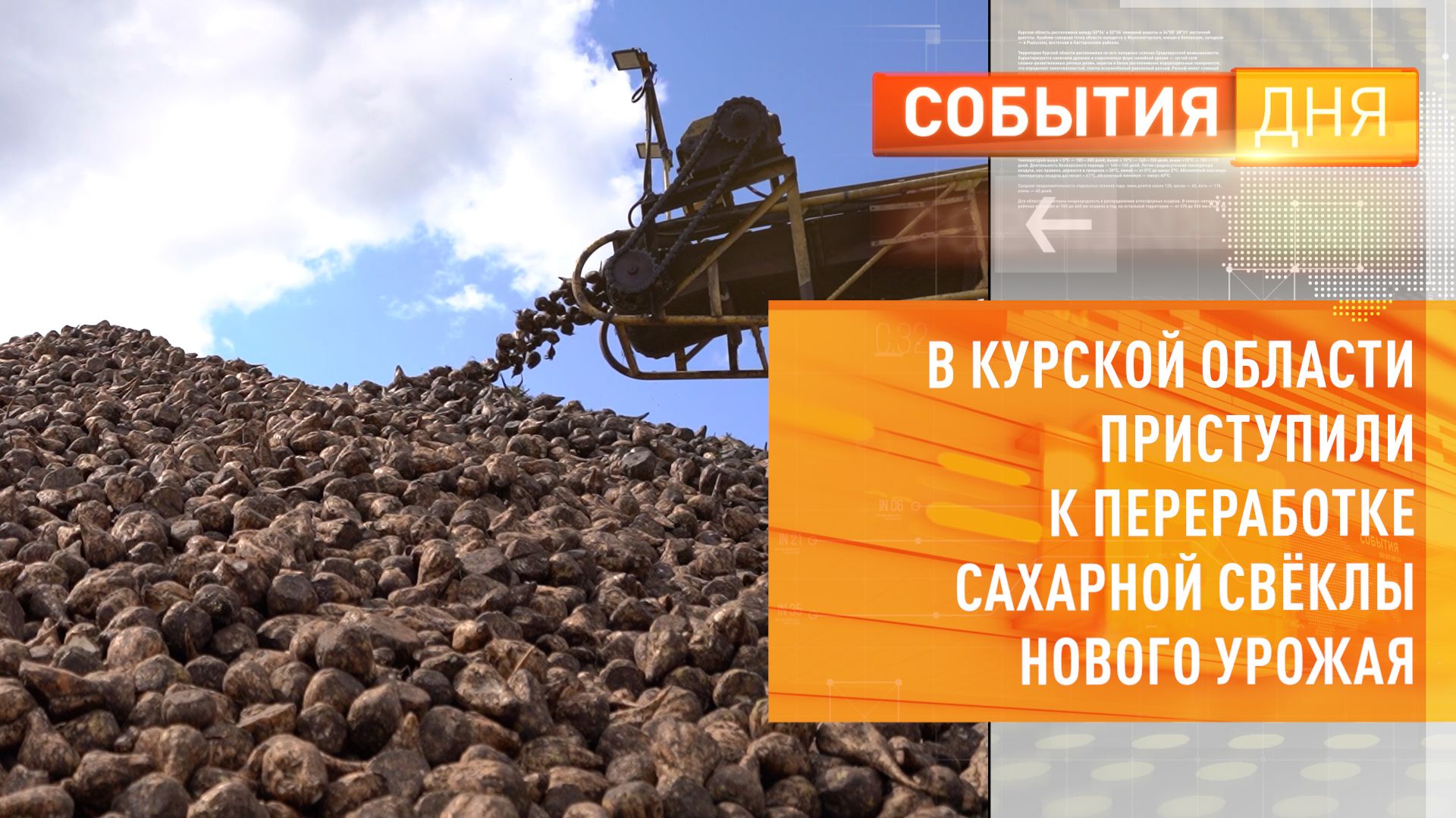 Специалисты Россельхознадзора выявили пестициды в курской свекле
