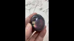 Лабрадор с розовой иризацией