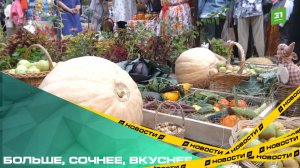 Больше, сочнее, вкуснее. На выставку плодов и цветов в Челябинске привезли овощи-гиганты