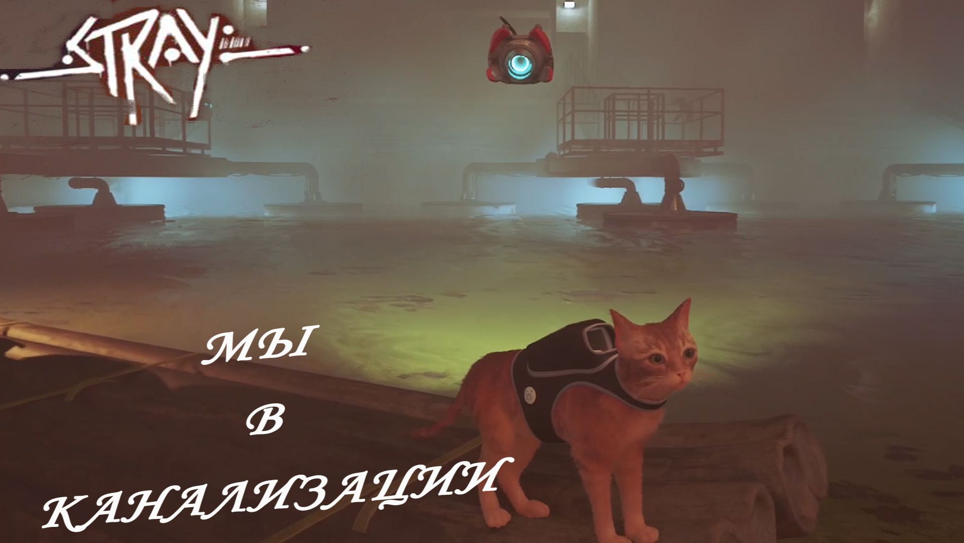 Stray ►ЧАСТЬ 4|У МЕНЯ ЕСТЬ ПУШЕЧКА#4