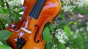 Скрипка музыка. Современная скрипка. Спокойная скрипка. Красивая скрипка. Грустная скрипка без слов